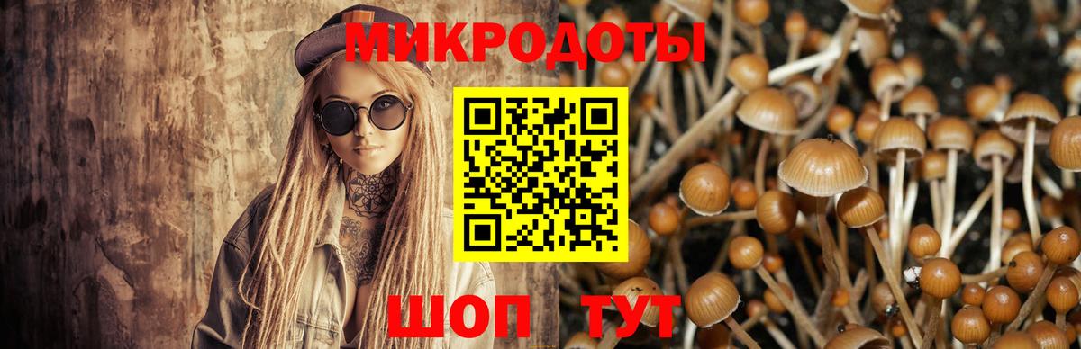 Псилоцибиновые грибы мухоморы Нижнеудинск